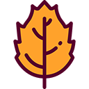 :fall-leaf: