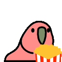 popcorn_parrot