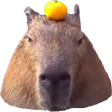 capybaraa emoji