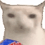 cat-chips emoji