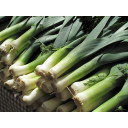 leeks emoji