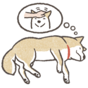 shiba-dreams emoji