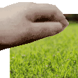 touchgrass emoji