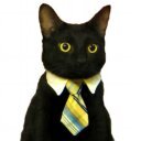 :business_cat: