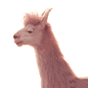 :headbop-llama: