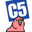c5-parrot-hat