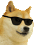 :cool-doge: