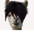 :emo-llama:
