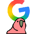 google-parrot-hat