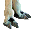 llama-footprints