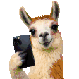 llama-on-a-phone