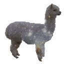 llama-spacey