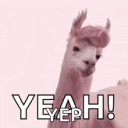llama-yeah