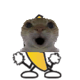 :banana-dance-1: