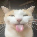 :bleh:
