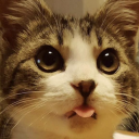 :blep: