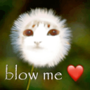 :blowme: :blowme: