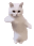:cat-boogie: :cat-boogie: