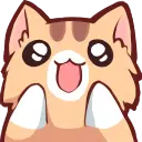 :cat-woah:
