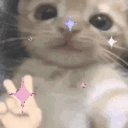 :cathello: :cathello: