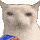 :chips-cat: :chips-cat: