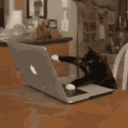:coding: :coding: