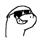 :cool_glasses_dino:
