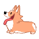 :corgi: