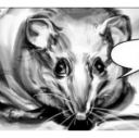 :crazy-rat: