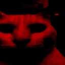 :despair-kitty: