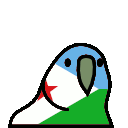 :djiboutiparrot: