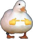 :duck-bottom: :duck-bottom: