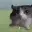 :explodes: :explodes: