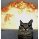 :explosive-catto: