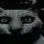 :fear-cat: :fear-cat: