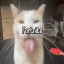:fortnite: