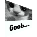 :goob-55: :goob-55: