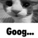 :goog: