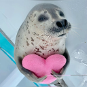 :heart-seal: