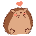 :hedgehog-love: :hedgehog-love: