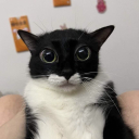 :i: