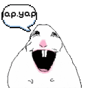 :kc-yap:
