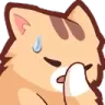 :kitty-facepalm: