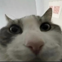 :looks-inside: