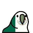:mexicoparrot: