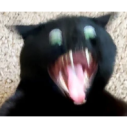 :much-screaming-cat: