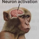 :neuronactivation: