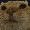 :nono-ultrafast: