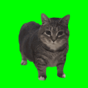 :oiia-cat-02: