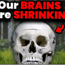 :our-brains-are-shrinking: